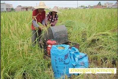 梦见打谷脱粒