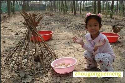 梦见捡到很多鸡蛋