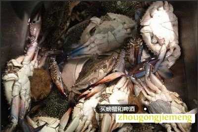 梦见买螃蟹和啤酒