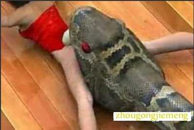 梦见蟒蛇吃人