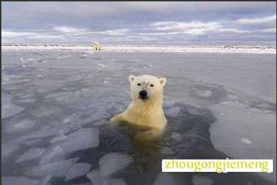 梦见掉河里 掉水里