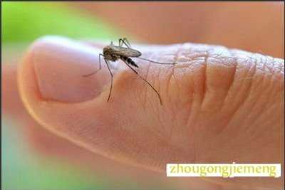 梦见被蚊子咬