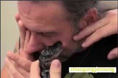 梦见抓蛇被蛇咬