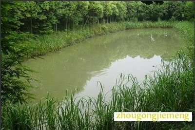 梦见水洼 小水塘