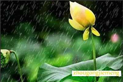 梦见细丝绵绵的梅雨