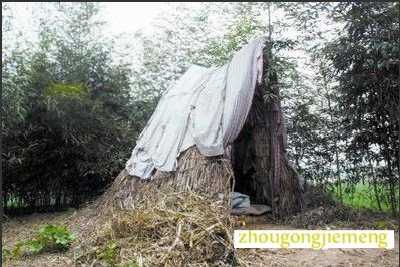 梦见在坟里睡觉