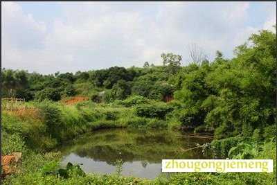 梦见水塘 鱼塘