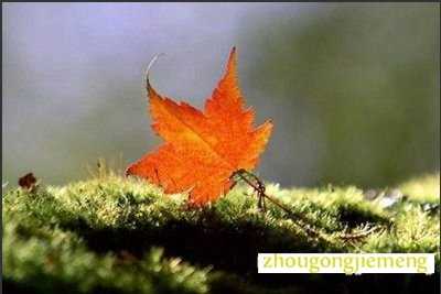 梦见自己缺乏很多东西