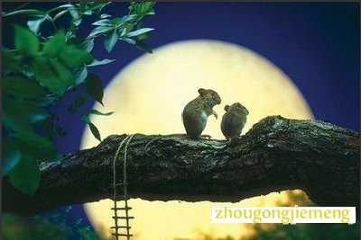 梦见月亮照在身上