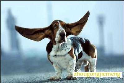 梦见耳朵 梦见耳朵