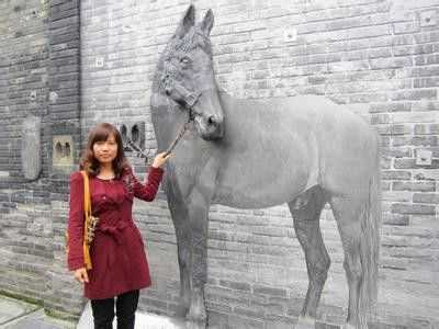 梦见马拴在院子里